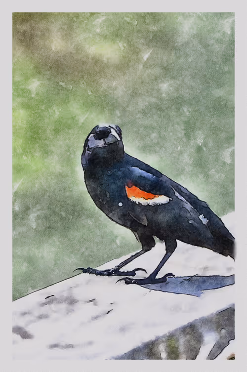 Item #55704534837685659622621715309832868758345944585427688586690141454246761988097 Media