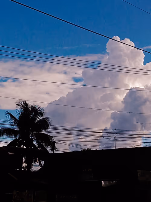 Item #106829478561102860539523639102238155293759762322503855358909291393362927026177 Media