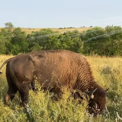 105089968166921690156624725616502706642431777719922472152070405801927128383489