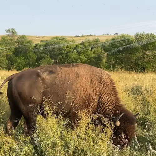 105089968166921690156624725616502706642431777719922472152070405801927128383489