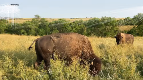 Item #105089968166921690156624725616502706642431777719922472152070405801927128383489 Media