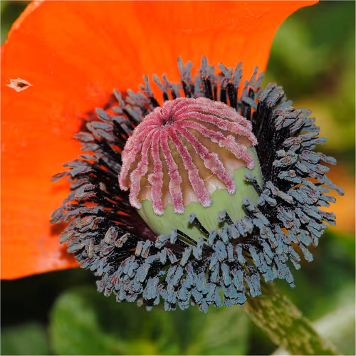 Item #43207901931937523229026562993049456947938366137062832064513938621956249092097 Media