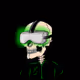 SkullyBonezGarageClub Collection
