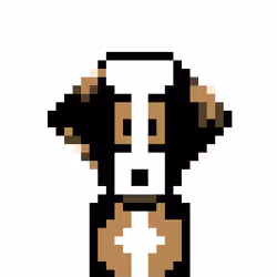 Bernedood