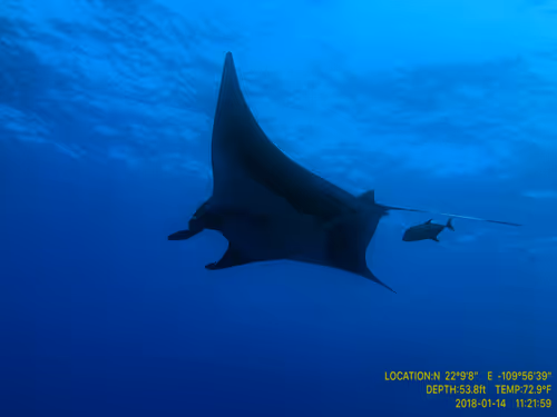 Item #80965803268169370603932631570667161375508893671094224909166963873125249318913 Media