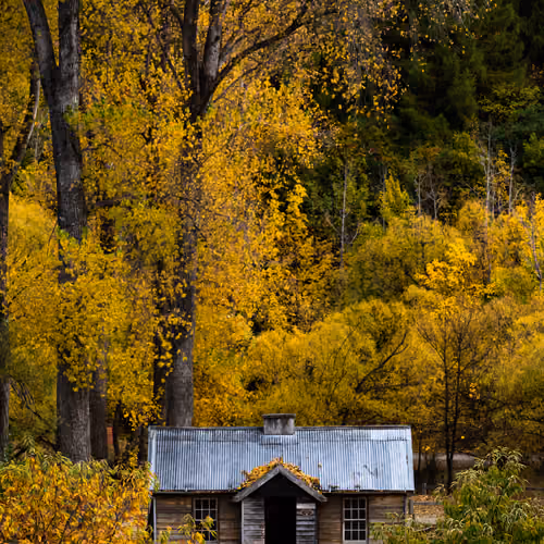 Autumn @ Arrowtown