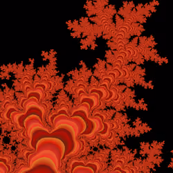 Neural Anemia #8