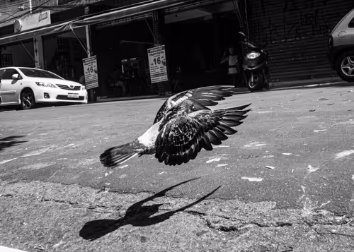 Item #106111726987898115069211004443268574276666687313968462663870641941057110016001 Media