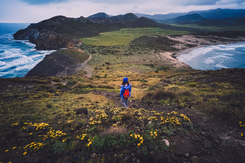 Item #96927138123694371990624378573919196862016558693078256504060925360236763545601 Media