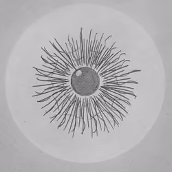 The Monochrome Eye