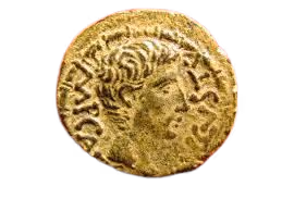 77542017747529569182009060253877341118964181064476913553913041477141471952897