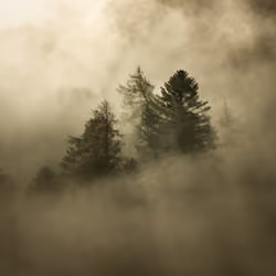 #3 - Above the clouds