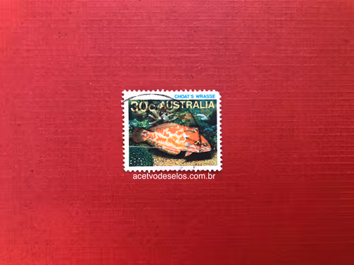 Item #20597586626667959385800891861414849022288511145256085744500515441822738153473 Media