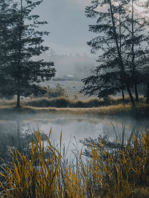 Item #31788909356613404137048829070137069187400346678612286943977180900453892751361 Media