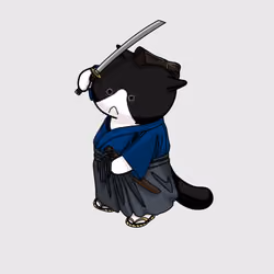 SAMURAI CAT #4