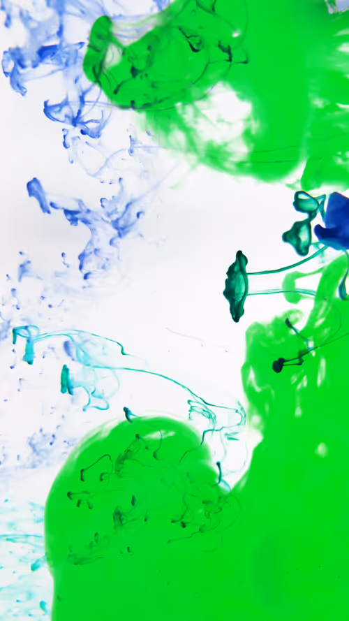 Item #31305712980941030161867633175304117506253559023819364015858336219506231214081 Media