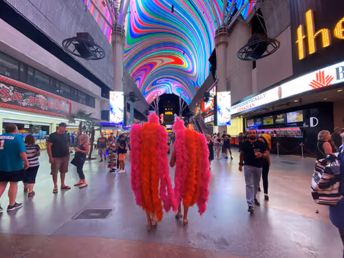 Item #48586363759381503143042118242978001323751418884239391505407157720090620723201 Media