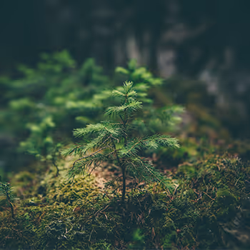 Item #53905271007344786433832484549711334388367959903155175211821234719079698268161 Media