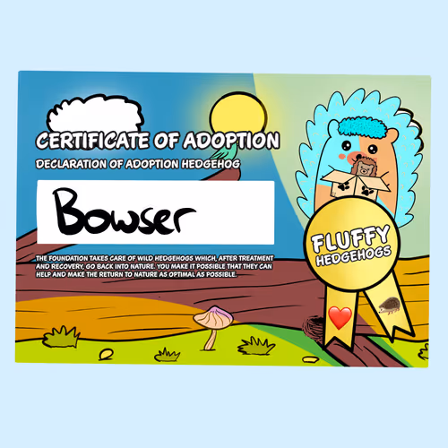 Fluffy Adoptions