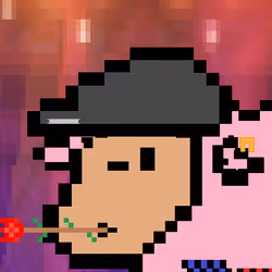 85122147178286775882516028388323701515228575826095020301917028768307153469441