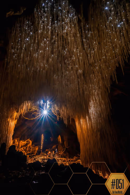 Item #109239313150488826951833761127800571598996968506878787519113545090657513635841 Media