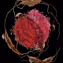 495481811379815144822817045191940406025038668845752407780710034558723031041