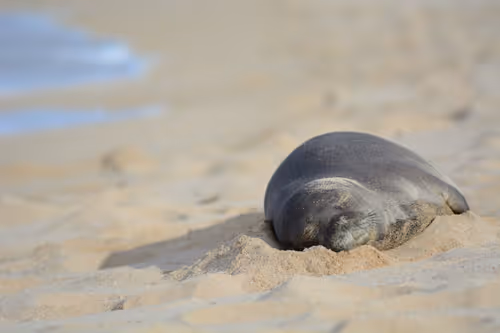 Item #82668664347853387025205030792162106913974488761724448252059371132381005086721 Media