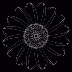 26185187814367725376940026929040218982398144969044494291860281291756865060865