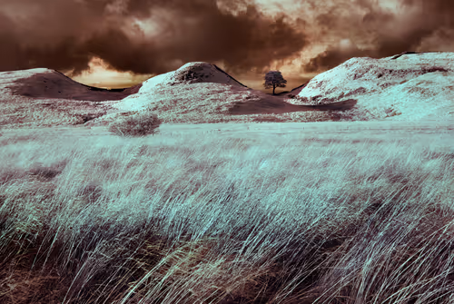 Item #105424874580272350249353180101820695324338341917620358577696675009137075027969 Media