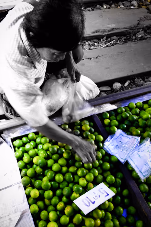 Item #104401202263346064366576801662350281283691787841131726192481732468257996144641 Media