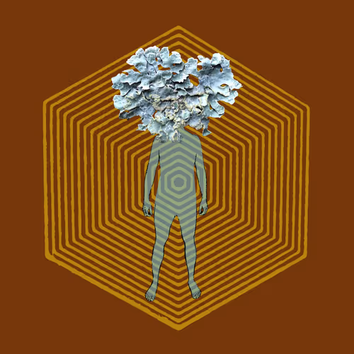 Item #18018250176649133944975211940619367290715552082181075534314545578698793287681 Media