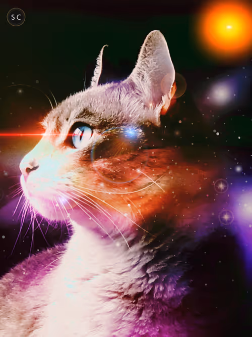 Item #56114814756646127397705002134489221206320113324181291230627375177719716249601 Media