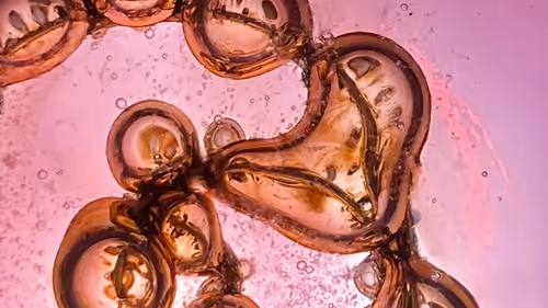 Item #101722242459461766671850244672997948412133570446471513908012687114316428607489 Media