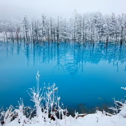 Ice Lake
