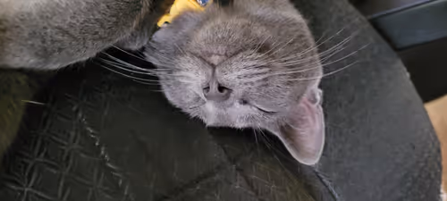 Item #65060042108644582213581044861185257921099202751223028038730296731268238278657 Media