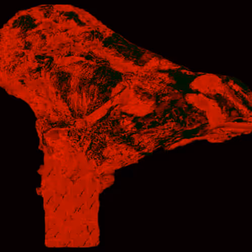 18063966590187803564983313972252836895288362682890717819958697157095952744449