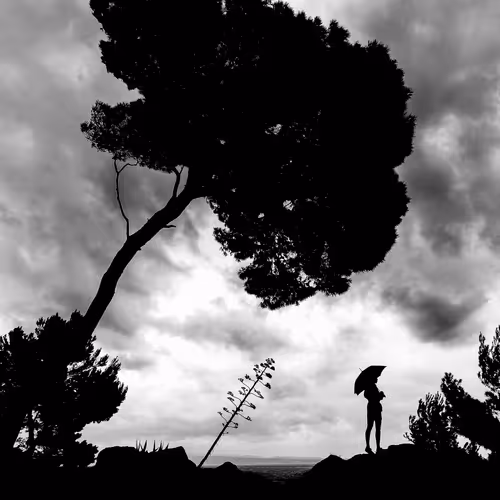 69084797616155117174653475293373745530159893481717725670555991496861581049891