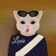 Scene Stealer Cat Collection