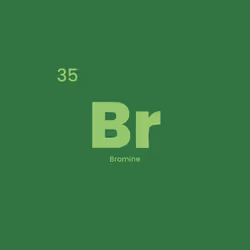 12332245684065198764694527978536122317407596672492401615866658107749289689089