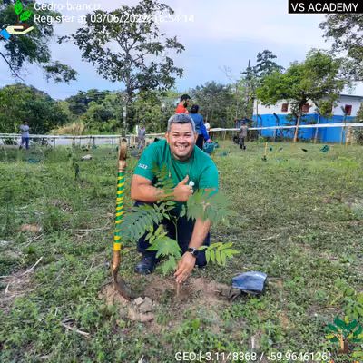 Item #8500196597889277390194123329501889087166328879864934763448348792929988378625 Media