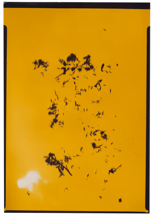 Item #15950502774274559587709957543874871977543956853015568947902385665710489600001 Media