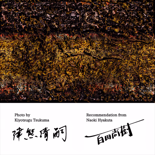 Item #50363599063163147153613145821536573388188757472313701897706766293469757440001 Media