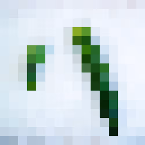 Item #109759330268527901486132477372620674512960772263422676404180015502803190415361 Media