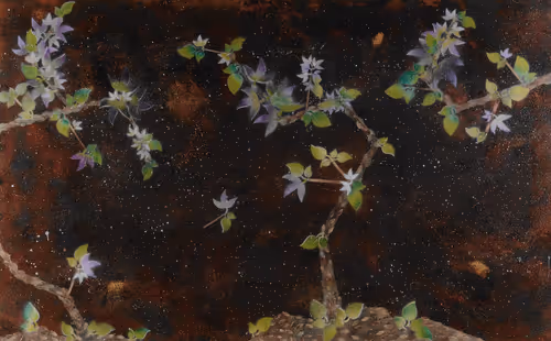 Item #23362206080031759863674021537611628681475652794224112579979904939835678261249 Media