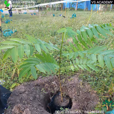 Item #8500196597889277390194123329501889087166328879864934763448348799527058145281 Media