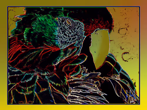 Item #20621945179891193764589773501353900658729707764810051975031089717201212538881 Media