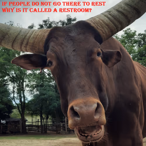 Item #51313302132644519913343847646347811445510524411913136629935896415655054802945 Media