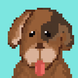 #9 Doro Dog