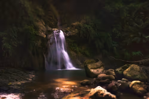 Item #94729080485503513708329965317332491879903775520225674536844109466519629463553 Media