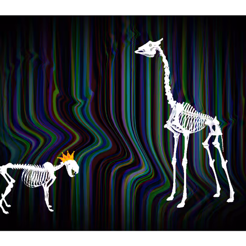 51006085769134948375134604221363983610569869984669857843427129319272472379393